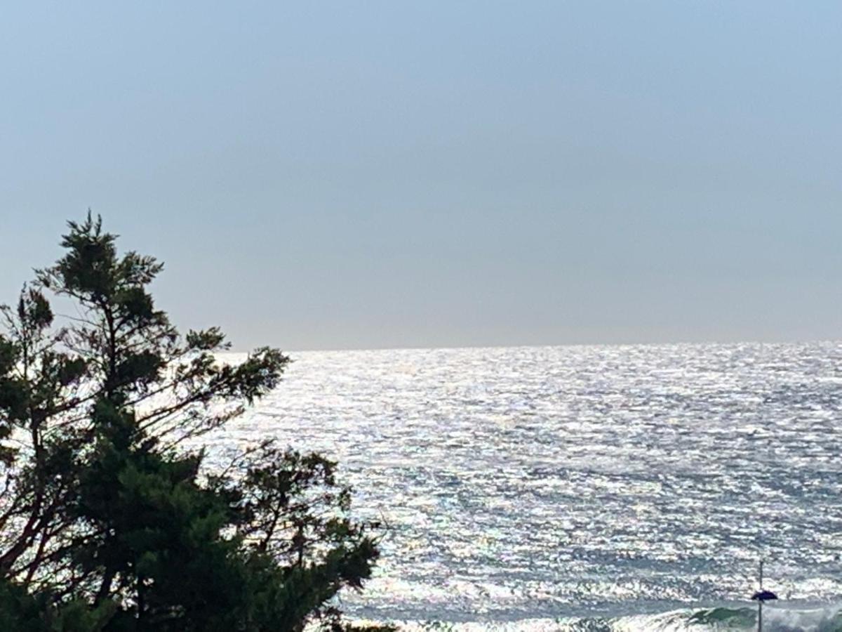 Magnifique Vue Mer Sausset-les-Pins Eksteriør billede